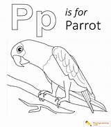 Parrot Playinglearning sketch template