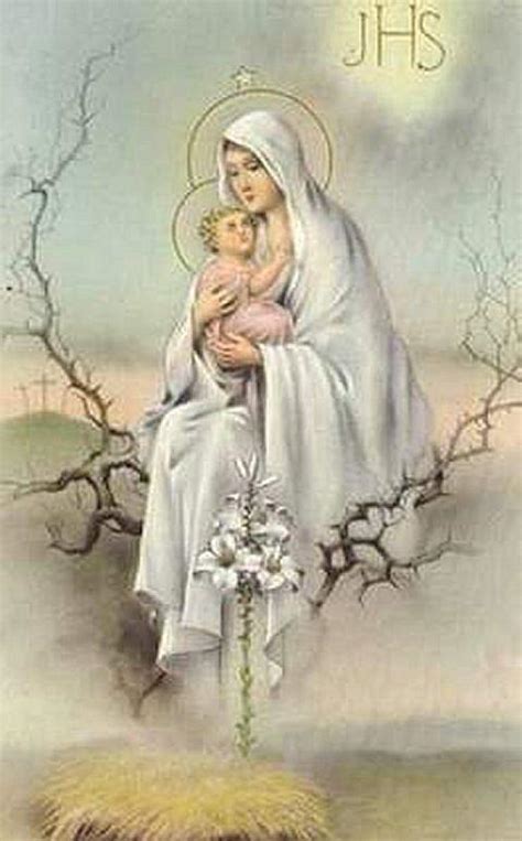 The Blessed Virgin Marys Photos And Wallpapers Auto