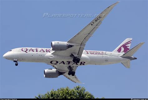 bcc qatar airways boeing   dreamliner photo  thanh ho id  planespottersnet