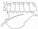 Coloring Caterpillar Pages Ws sketch template