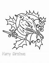 Robin Coloring Pages Red Printable Bird Getcolorings Color sketch template