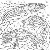 Geographic Kleurboeken Iguana sketch template