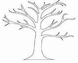 Tree Almond Coloring Pages Getcolorings Outline sketch template