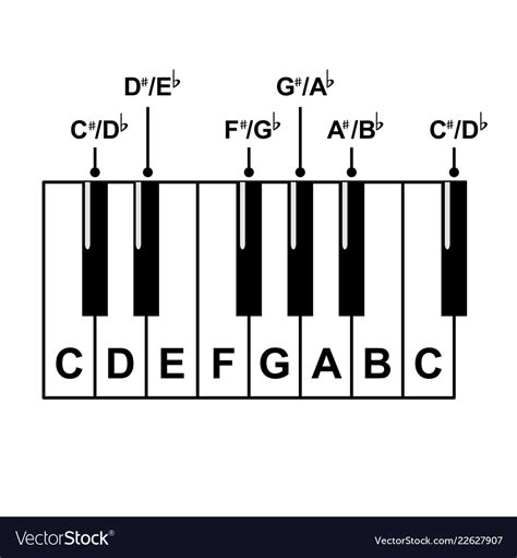 piano keyboard diagram keyboard layout vector image