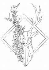 Cerf Venados Deers Geometrique Rehe Cervi Adulti Erwachsene Malbuch Adultos Cervo Playas Flowery Geometrical Stil Inspiriert Farbgebung Geometrische Resim5 Benton sketch template