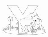 Alphabet Coloring Letter Pages Animal Printable Worksheets Yak Abc Kids Letters Preschool Print Inchworm Color Animals Stock Cute Royalty Fastseoguru sketch template