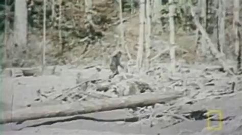 Bigfoot Reportedly Spotted In North Carolina Forest Fox News