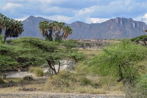shaba national reserve fees guide prices weather