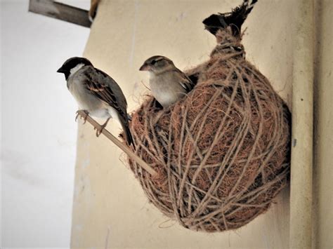 readymade sparrow nest jute eco roots foundation