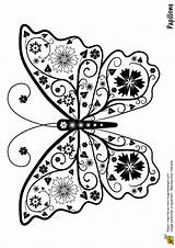 Papillon Papillons Fleur Hibiscus Insectes Hugolescargot Partager Adulte sketch template