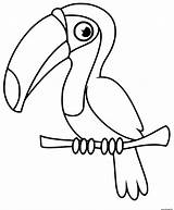 Toucan Maternelle Oiseau Toco sketch template