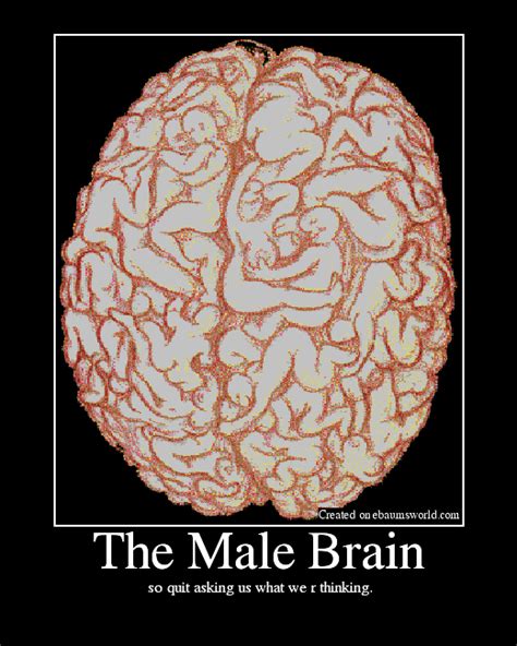 the male brain picture ebaum s world