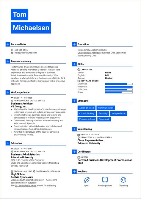 sdet vbnet sample resume resume  gallery