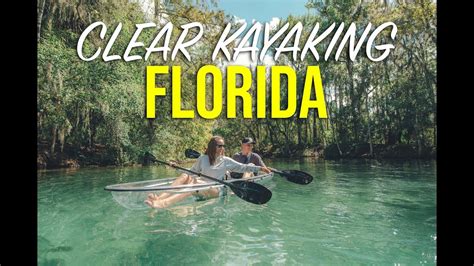 clear kayak tours  florida     kayaking youtube