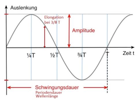 amplitude elongation periodendauer phase  einer sinusschwingung aufgezeigt