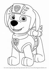 Paw Patrol Zuma Drawing Coloring Draw Pages Para Colorear Step Pat Patrouille Sketch Learn Pa Drawingtutorials101 Superheroes sketch template