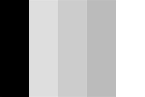 black   white color palette