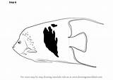 Angelfish Drawingtutorials101 sketch template