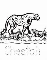 Cheetah Coloring Pages Baby Her Babies Color Printable Netart Print Getcolorings sketch template