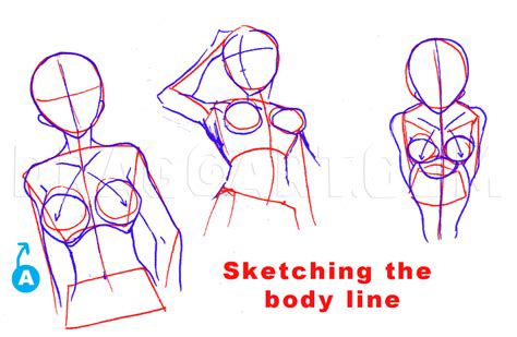 how to draw anime boobs art dash