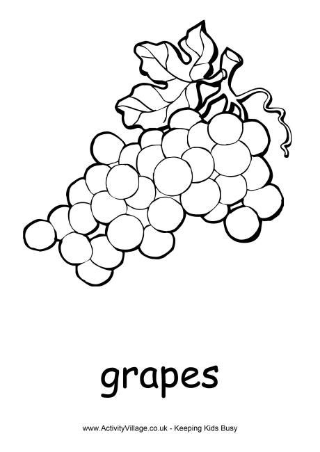 grapes colouring page