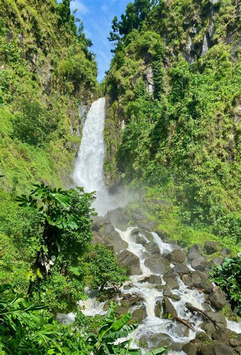 waterfall in dominica travel off path