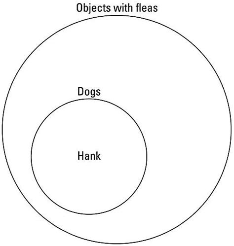 analyze arguments  euler diagrams dummies