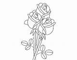 Rosas Colorear Ramo Mazzo Desenho Disegno Roses Jordi Buque Dibuix Girassol Acolore Dibuixos Crmla sketch template