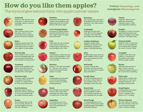 apple varieties   names retymology