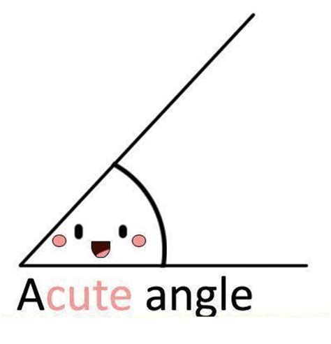 acute angle random photo  fanpop