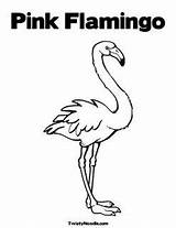 Inkspiredmusings Flamingos sketch template