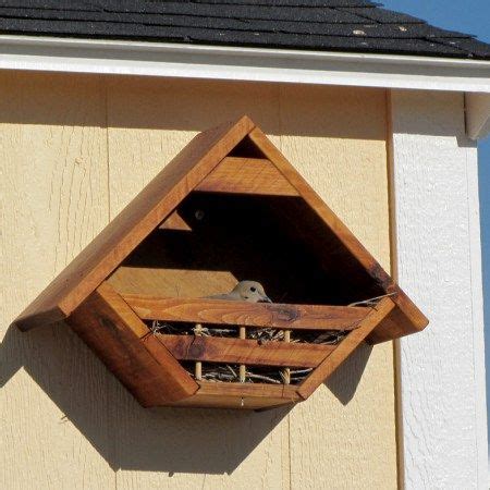 dove nesting     customers dove houses bird house kits dove house bird houses diy