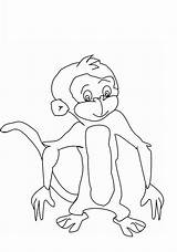 Coloring Pages Monkey Printable Kids Monkeys Sheets Colouring Print Animal Bestcoloringpagesforkids Choose Board sketch template