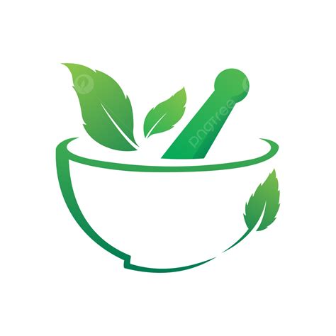 herbal leaf logo vector herbs herbal logo herbal leaves png