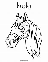 Coloring Kuda Horse Worksheet Outline Built California Usa Twistynoodle Noodle Head Change Style sketch template