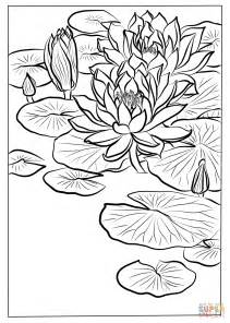 water lily  ohara koson coloring page  printable coloring pages