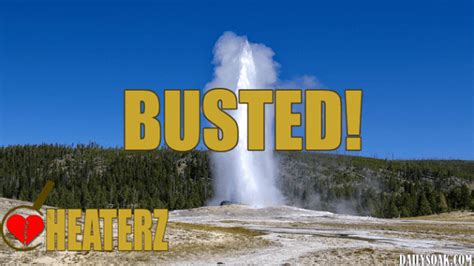 yellowstone s old faithful caught cheating on cheaters tv show daily soak