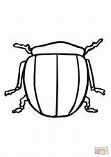 Escarabajo sketch template
