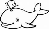 Whale Mcoloring sketch template