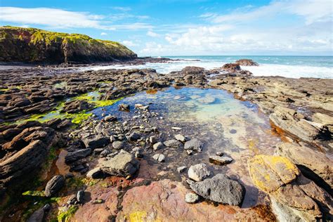 flinders rock pools   find  secluded swimming holes