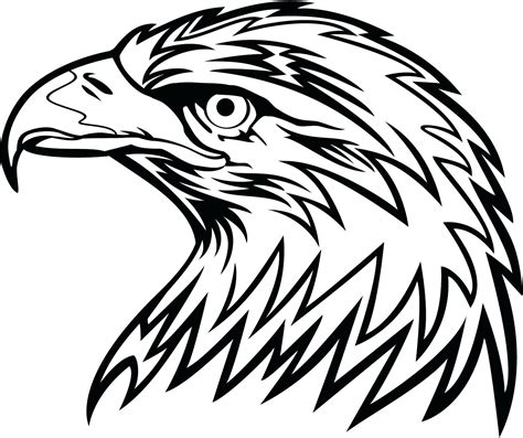eagle drawing  getdrawings
