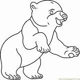 Bear Coloring Polar Smiling Coloringpages101 Pages Little sketch template