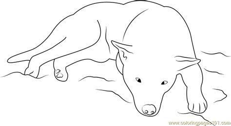 dog sleeping coloring page  dog coloring pages coloringpagescom