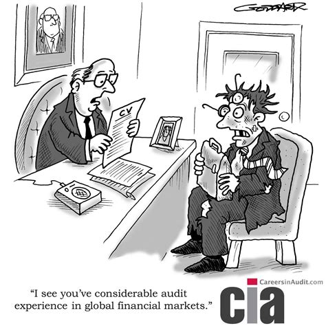 audit cartoon audit experience accounting humor funny friday memes
