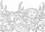 Fish Rainbow Outline Coloring Popular sketch template