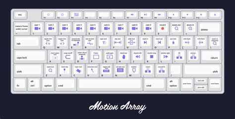 premiere pro keyboard shortcut infographic  motion array