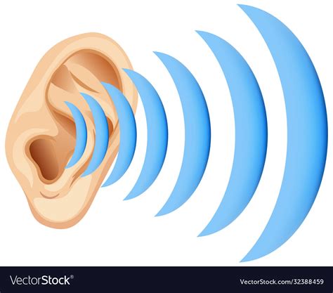 human ear  sound wave royalty  vector image
