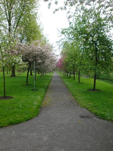 arboretum oudenbosch oudenbosch