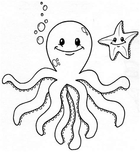 pin  octopus