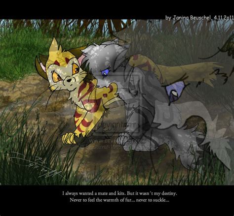 Lionblaze And Cinderheart Warrior Cats Pinterest